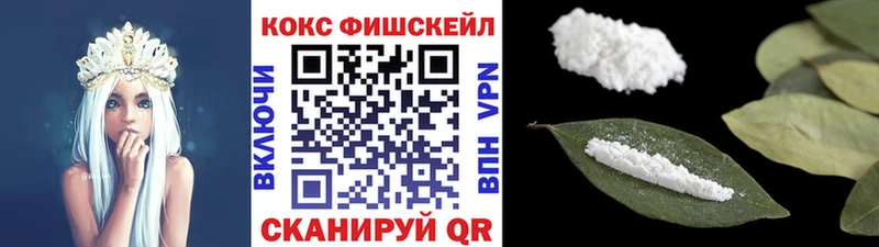 Где купить Кондопога Кокаин Меф мяу мяу ГАШ