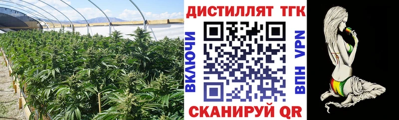 ТГК гашишное масло  наркошоп  Кондопога 